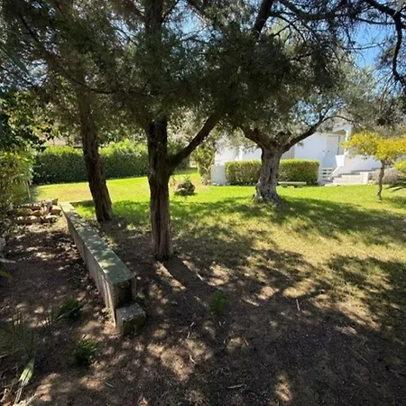Holiday Home Conti Mandorleto-1 By Interhome *