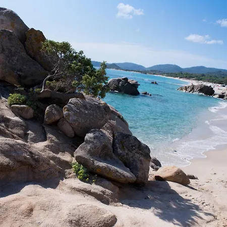 Mandorli By Interhome 度假居